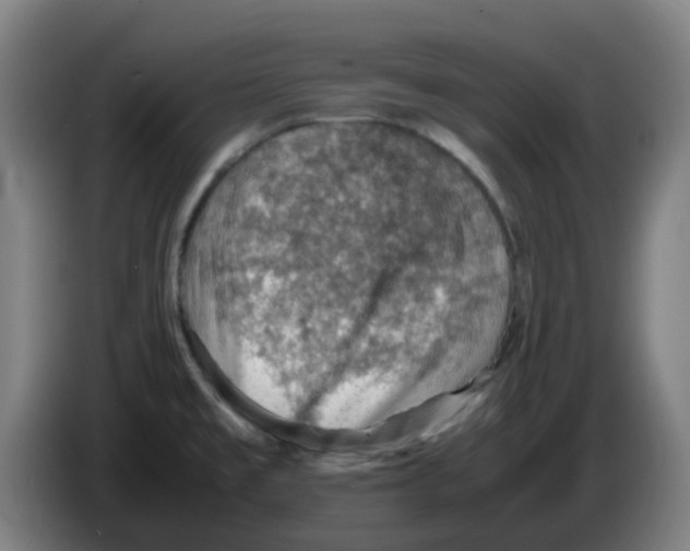 X0000086231477200704261846