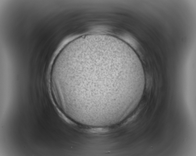 X0000086231478200704261846