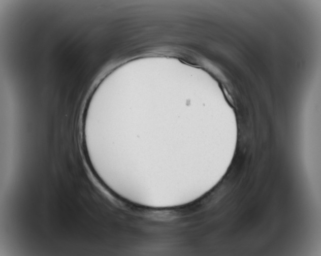 X0000086231479200704261846