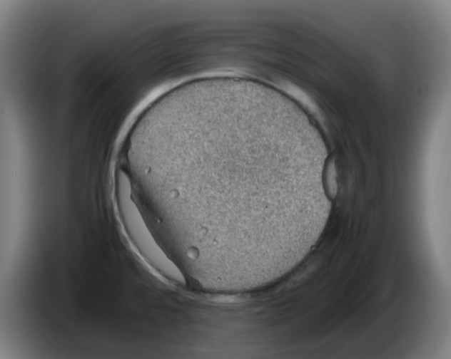 X0000086231480200704261846