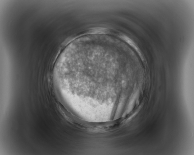 X0000086231481200704261846