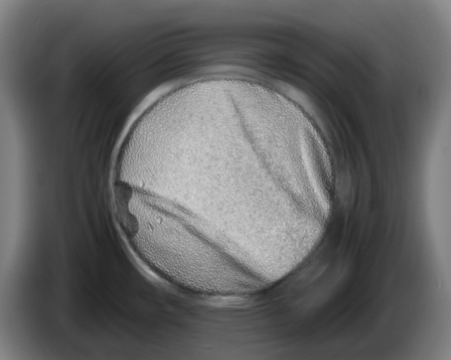 X0000086231482200704261846