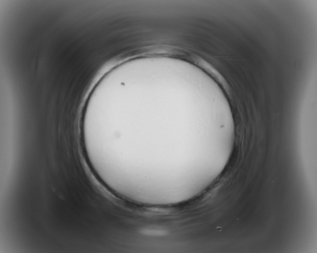 X0000086231483200704261846