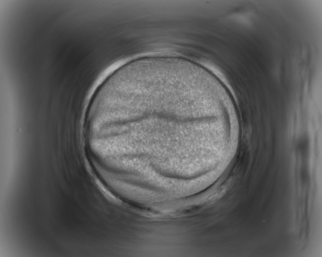 X0000086231485200704261846