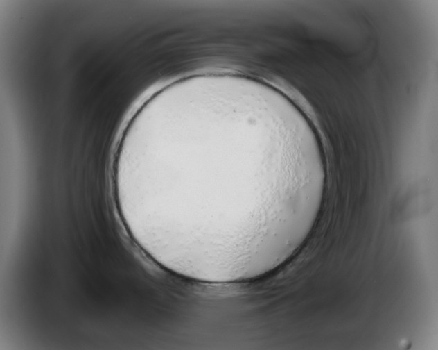 X0000086231488200704261846