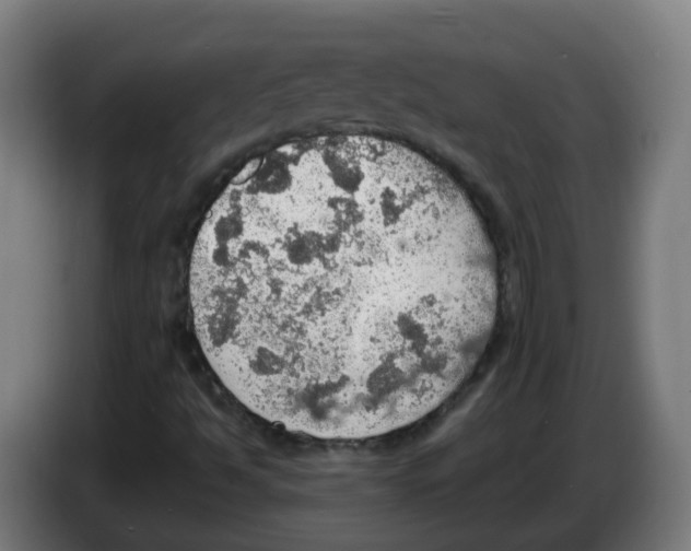 X0000086231494200704261846