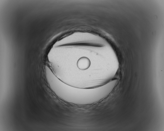 X0000086231496200704261846