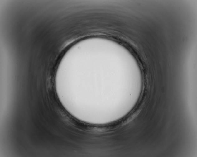 X0000086231497200704261846