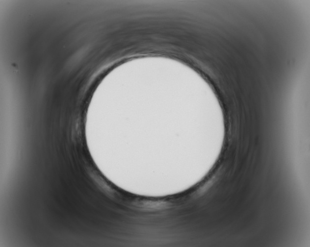 X0000086231498200704261846