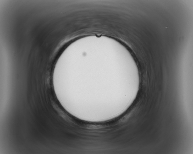 X0000086231499200704261846