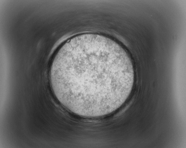 X0000086231501200704261846