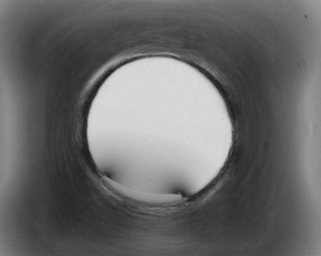 X0000086231502200704261846