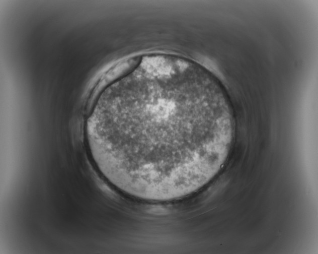 X0000086231504200704261846