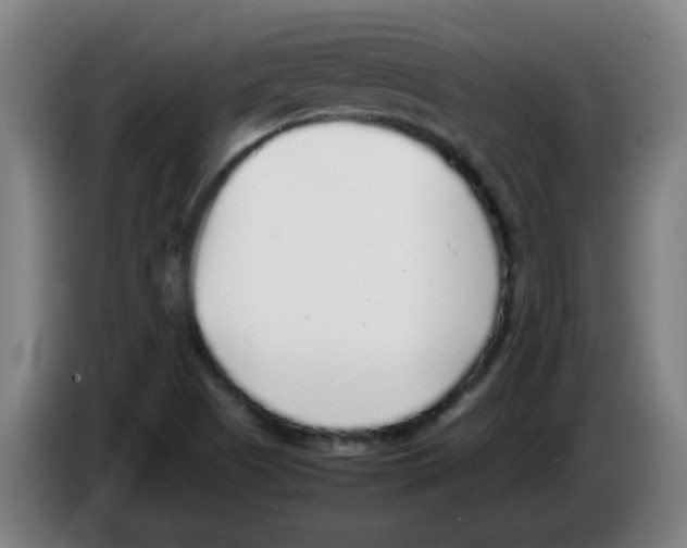 X0000086231505200704261846