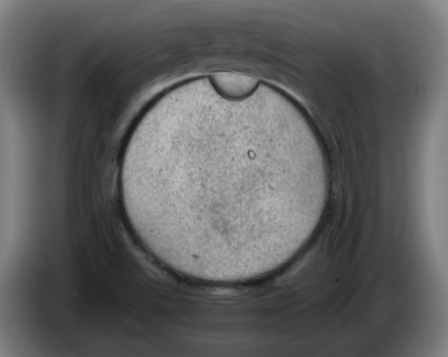 X0000086231507200704261846