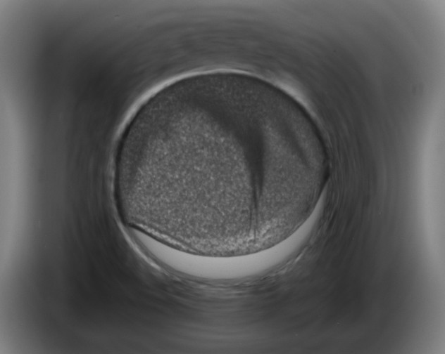 X0000086231508200704261846