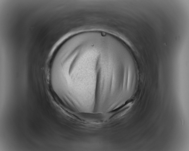 X0000086231510200704261846