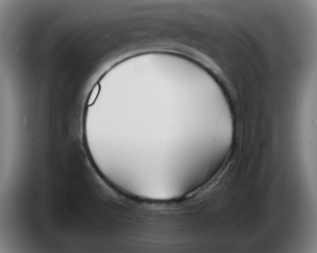 X0000086231512200704261846