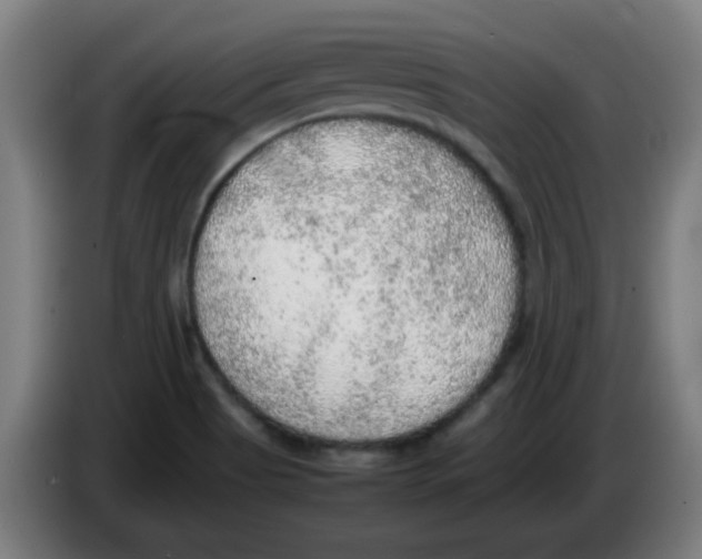 X0000086231513200704261846