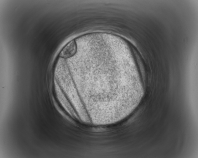 X0000086231515200704261846