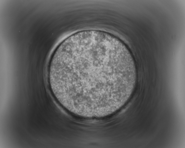 X0000086231517200704261846