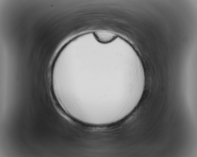 X0000086231519200704261846