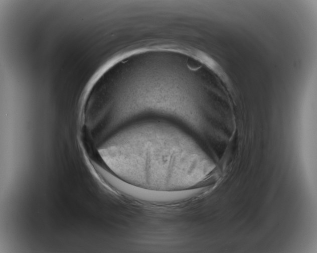 X0000086231520200704261846