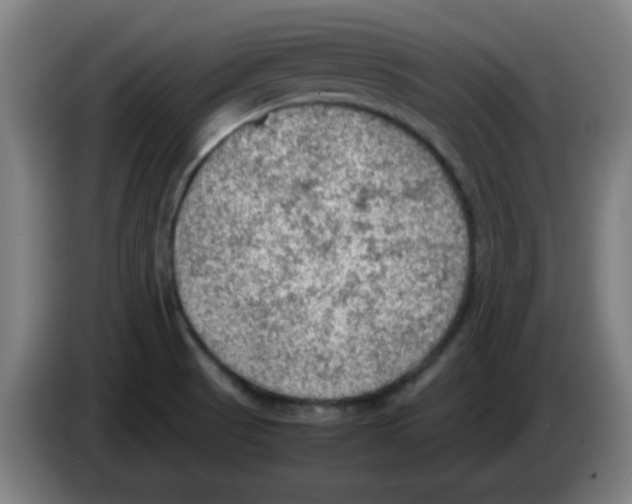 X0000086231521200704261846