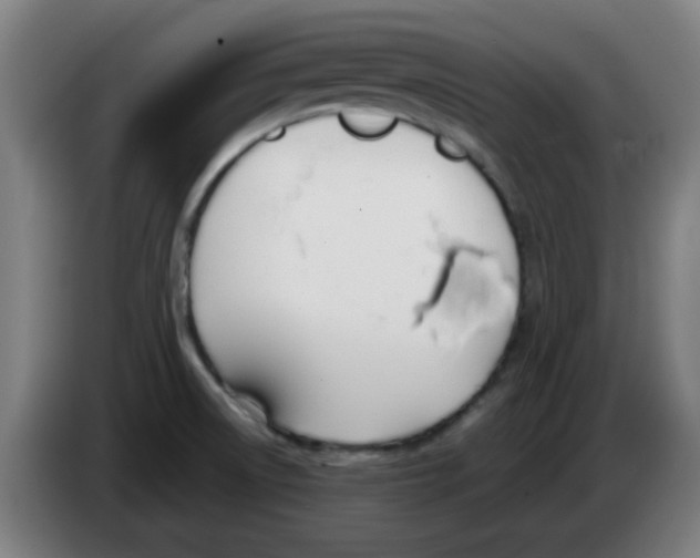 X0000086231522200704261846