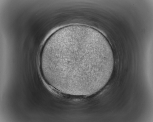 X0000086231523200704261846