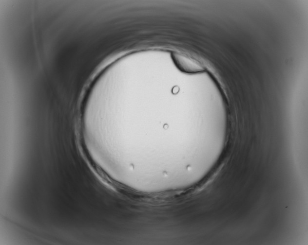 X0000086231525200704261846