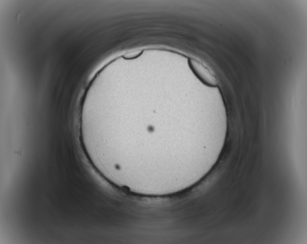 X0000086231526200704261846