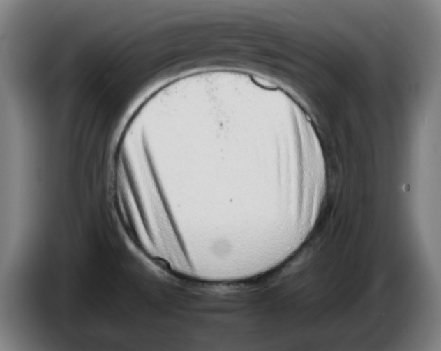 X0000086231527200704261846