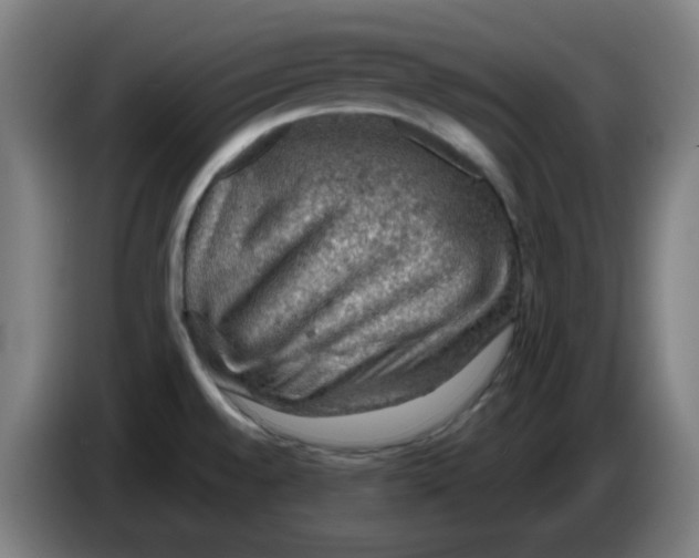 X0000086231528200704261846