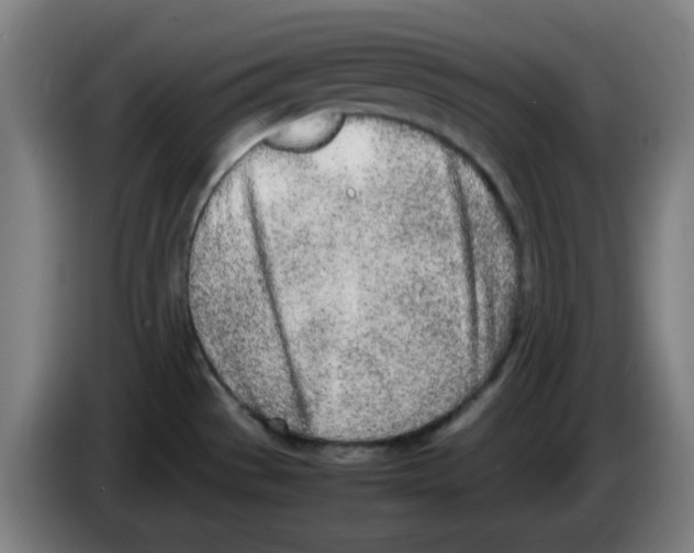 X0000086231529200704261846