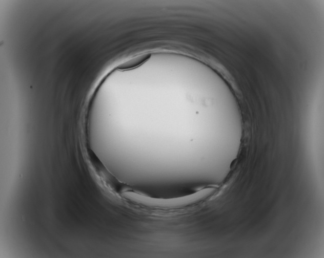 X0000086231530200704261846