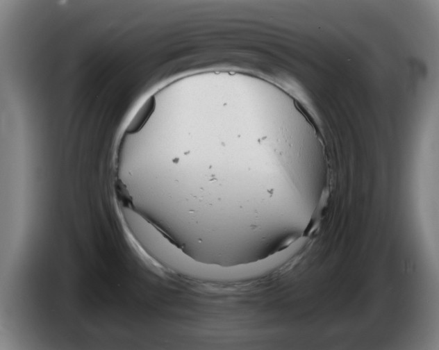 X0000086231532200704261846