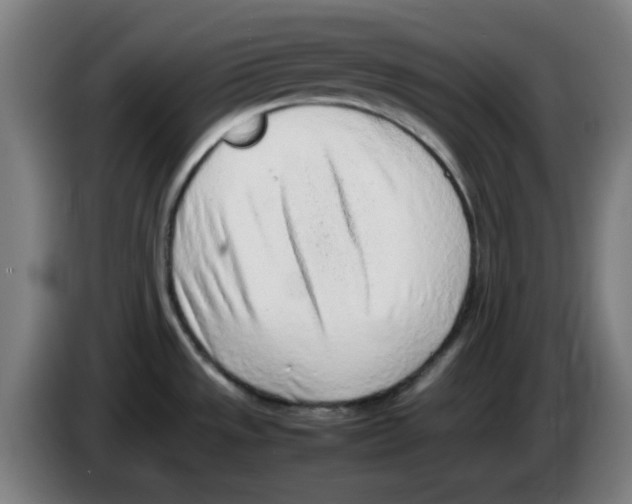 X0000086231533200704261846