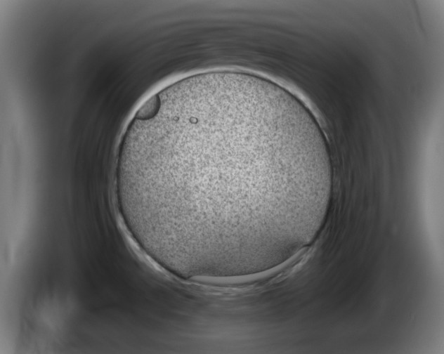 X0000086231534200704261846