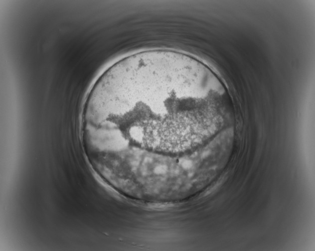 X0000086231535200704261846