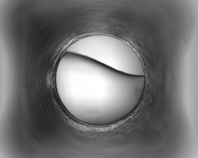 X0000086240002200703291015