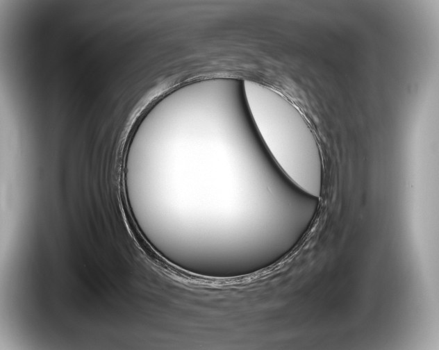 X0000086240003200703291015