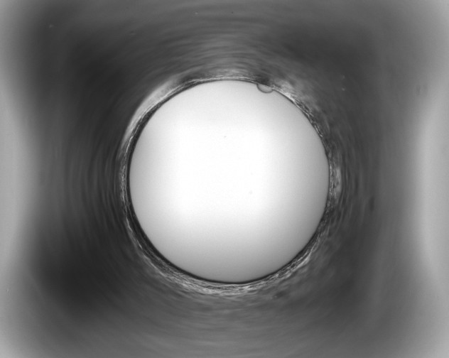 X0000086240004200703291015