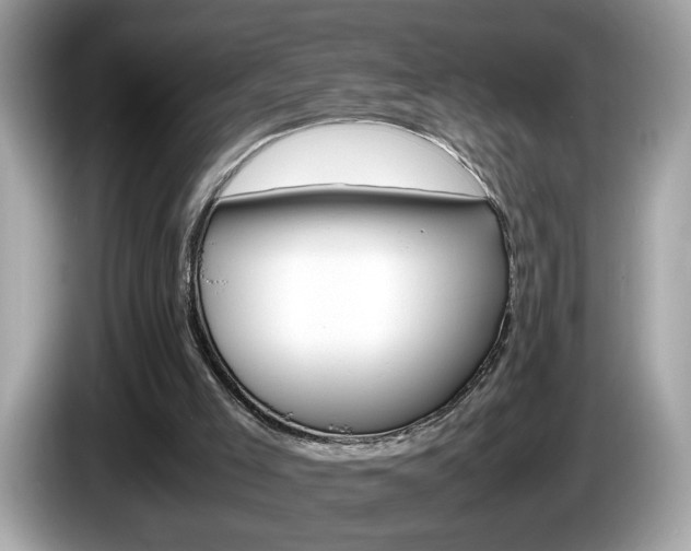 X0000086240005200703291015