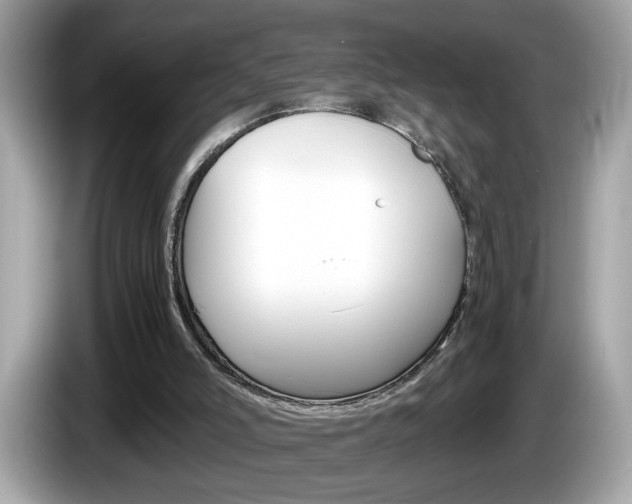 X0000086240006200703291015