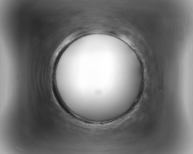 X0000086240007200703291015