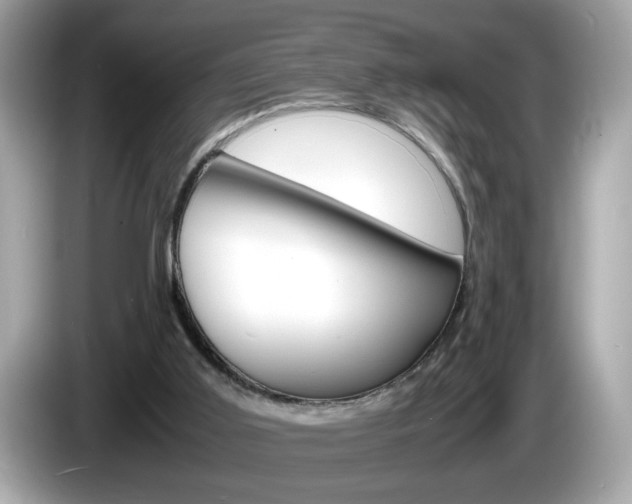 X0000086240011200703291015