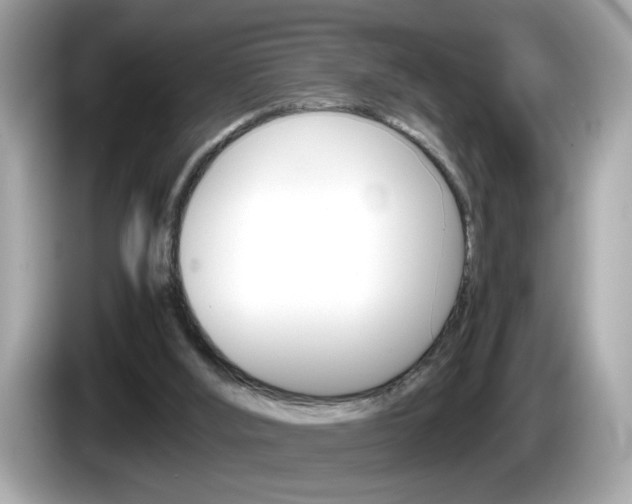 X0000086240012200703291015