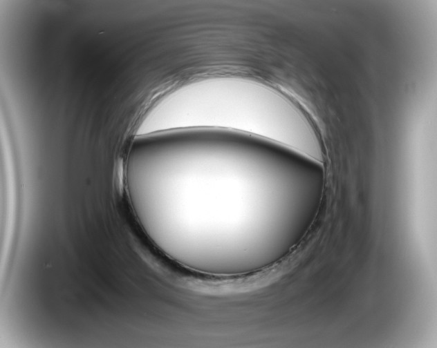 X0000086240013200703291015
