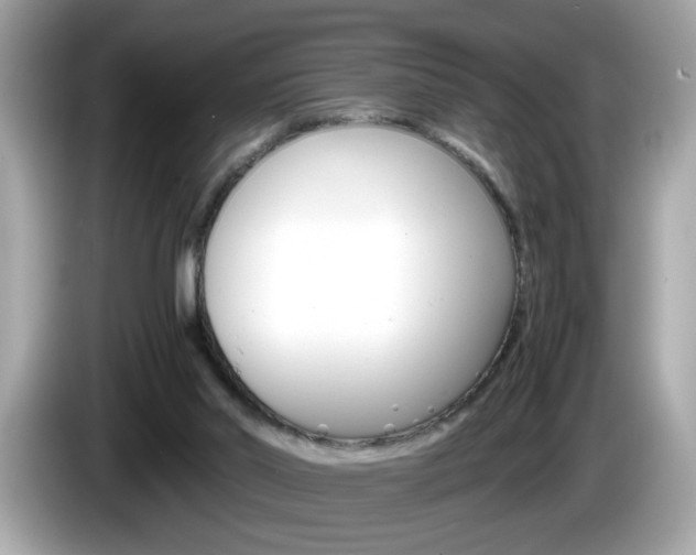 X0000086240014200703291015
